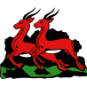 Two Red Gazelles